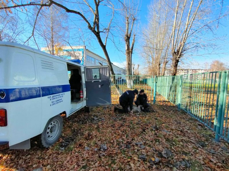 Сотрудники полиции в Ачинске доставили раненую косулю в ветеринарную клинику